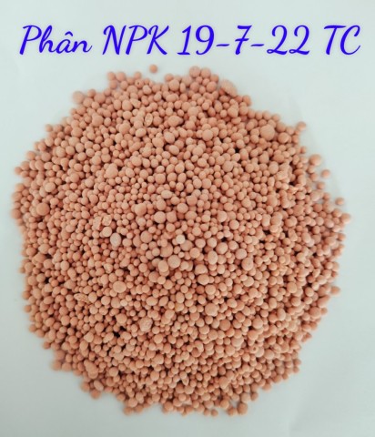 NPK 19-7-22+TE (Hạt hồng)
